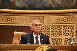 مجلس الشيوخ يحيل عددًا من مشروعات القوانين إلى اللجان النوعية المختصة