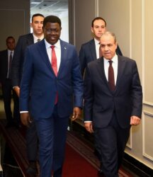 مشاورات سياسية بين وزير الخارجية المصري ووزير خارجية جنوب السودان. 