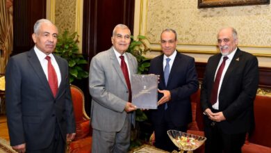 وزير الخارجية يلتقي رئيس مجلس الشيوخ