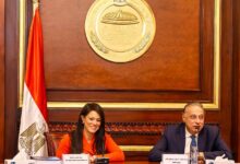  لجنة الشئون الخارجية بمجلس الشيوخ  علاقتنا مع المجتمع الدولي لا تفيد فقط الحكومة ولكن القطاع الخاص