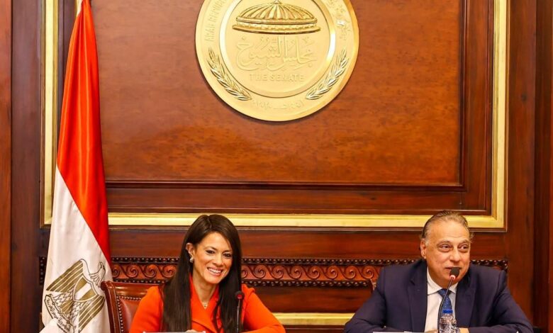  لجنة الشئون الخارجية بمجلس الشيوخ  علاقتنا مع المجتمع الدولي لا تفيد فقط الحكومة ولكن القطاع الخاص