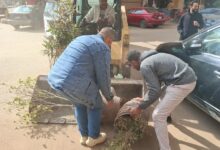 إستمرار متابعه رفع الإشغالات المتعدية على حرم الطريق بقطاع مدينة بنها وكفر الجزار.