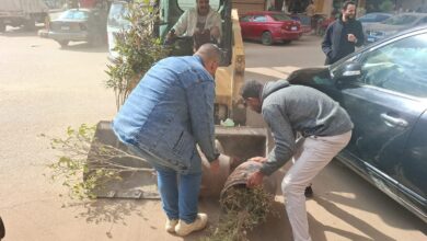 إستمرار متابعه رفع الإشغالات المتعدية على حرم الطريق بقطاع مدينة بنها وكفر الجزار.