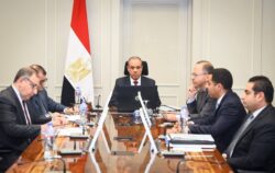 وزير الخارجية يستعرض الرؤية المصرية لتحقيق السلام في شرق الكونجو الديمقراطية والوضع بالصومال. 