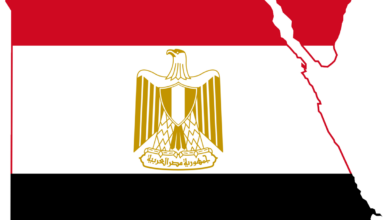 مصر ترحب باعتماد الأمم المتحدة قرارين يؤكدان الحقوق الفلسطينية