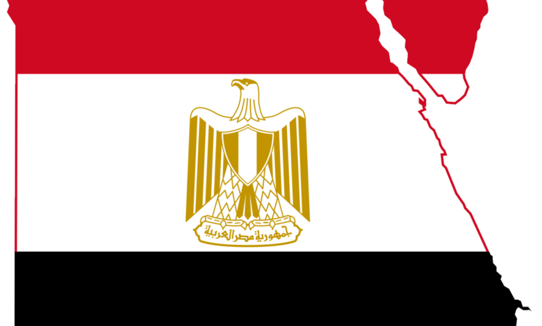 مصر ترحب باعتماد الأمم المتحدة قرارين يؤكدان الحقوق الفلسطينية