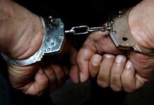 مأساة مدرسة «سيدز» تتكرر بالإسكندرية.. عامل اعتدى على أطفال في مدرسة خاصة. 