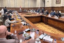 وزير الخارجية: الفترة المقبلة مهمة بملف حقوق الإنسان