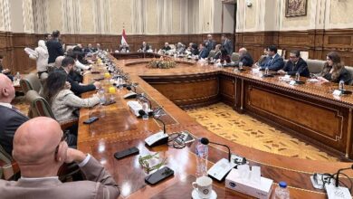 وزير الخارجية: الفترة المقبلة مهمة بملف حقوق الإنسان