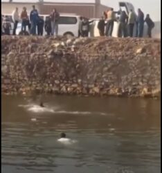 تطور صادم في حادث سقوط ميكروباص بترعة المريوطية