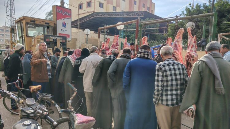 انتعاش منافذ بيع اللحوم البلدية بديروط