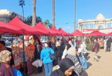 استمرار إقامة أسواق اليوم الواحد بالإسكندرية لتخفيف العبء عن المواطنين