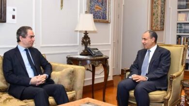 وزير الخارجية يؤكد أهمية التكامل بين الدبلوماسية والإعلام