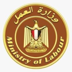 وزير العمل يفتح تحقيقاً عاجلاً في واقعة مكتب دسوق