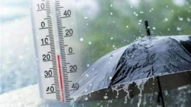 حاله الطقس غدا الإثنين 11 يناير 2026 في مصر إنخفاض درجات الحرارة وبرودة شديدة.