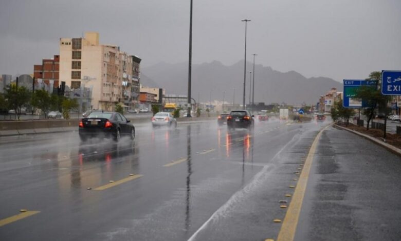 توقعات حالة الطقس غدا الخميس 15/1/2026 إنخفاض الحرارة وشبورة مائية وأمطار خفيفة.