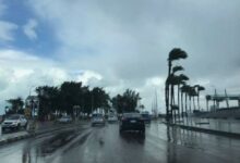 حاله الطقس غدا الثلاثاء 20 يناير 2026 استمرار الأجواء الباردة في مدن ومحافظات مصر.