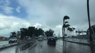 حاله الطقس غدا الثلاثاء 20 يناير 2026 استمرار الأجواء الباردة في مدن ومحافظات مصر.