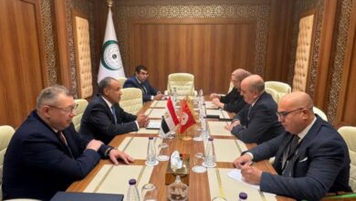 وزير خارجية مصر يؤكد لنظيره التونسي ضرورة تسوية سياسية شاملة في ليبيا