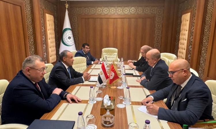 وزير خارجية مصر يؤكد لنظيره التونسي ضرورة تسوية سياسية شاملة في ليبيا
