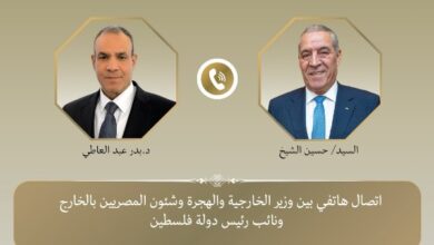 وزير الخارجية يبحث مع نائب الرئيس الفلسطيني الانتقال للمرحلة الثانية من خطة ترامب
