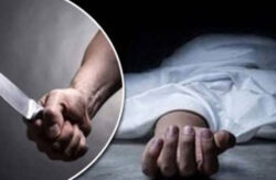 جريمة أمام الزبائن عامل مفصول ينهي حياة مدير مطعم ويقتل نفسه بالعجوزة