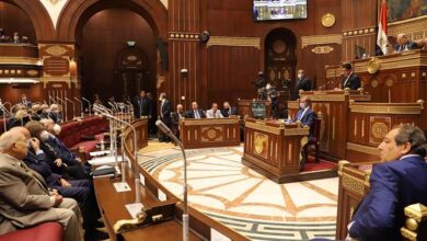 رئيس مجلس الشيوخ يهنئ البابا تواضروس الثاني والإخوة المسيحيين بـ عيد الميلاد المجيد