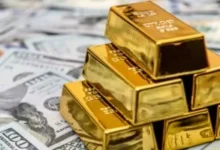 خبير اقتصادي يحذر من الاستثمار بكامل المدخرات في الذهب