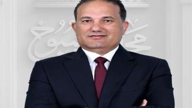 عضو مجلس الشيوخ يدعو لمراجعة قرار رسوم الهواتف للمصريين بالخارج