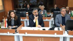 محافظ الجيزة يقود حملات لإزالة التوك توك العشوائي وضبط المخالفين لتحسين الحركة المرورية