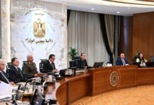 مدبولي للوزراء النقد الإعلامي ضريبة العمل العام وتقييم أدائنا حق للمواطنين