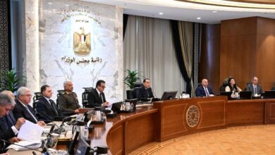 مدبولي للوزراء النقد الإعلامي ضريبة العمل العام وتقييم أدائنا حق للمواطنين