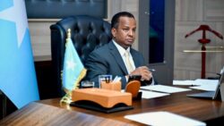 وزير خارجية الصومال مزاعم إسرائيل حول أرض الصومال غير قانونية