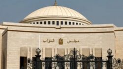 استجابة لمقترح السيسي النواب يتحركون لضبط استخدام الأطفال لمواقع التواصل وحماية النشء من الفوضى الرقمية