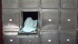 كشف غموض العثور على جثة سيدة داخل جوال بنهر النيل في إمبابة