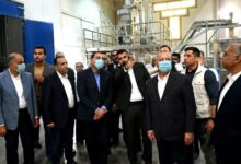 مدبولي: الدولة حققت طفرة غير مسبوقة في مجال توطين الصناعات الغذائية