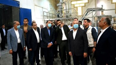 مدبولي: الدولة حققت طفرة غير مسبوقة في مجال توطين الصناعات الغذائية