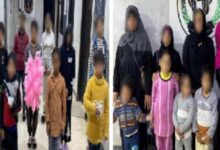 القبض على عصابة تستغل الأطفال في أعمال التسول بالقاهرة والجيزة