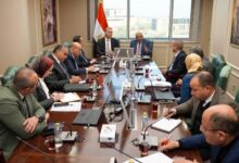 وزير البترول: سيناريوهات استباقية لتوفير احتياجات محطات توليد الكهرباء