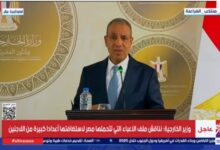 وزير الخارجية مصر لن تتوانى في الدفاع عن مصالحها الوجودية