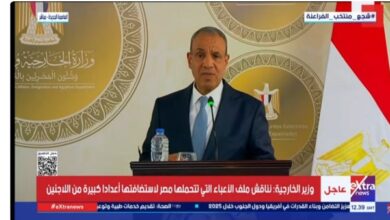 وزير الخارجية مصر لن تتوانى في الدفاع عن مصالحها الوجودية