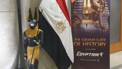 مصر تعزى إسبانيا فى ضحايا حادث تصادم القطارين