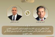 وزير الخارجية: ضرورة تكثيف الجهود الدولية لضمان النفاذ الكامل للمساعدات الإنسانية والطبية لغزة