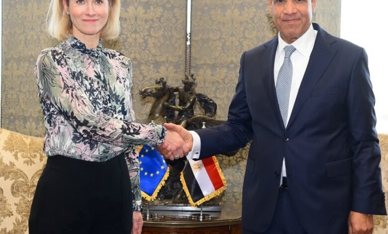 وزير الخارجية يثمن الطفرة في العلاقات بين مصر والاتحاد الأوروبي