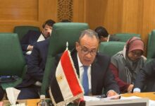وزير الخارجية يشدد على موقف مصر الثابت الداعم لوحدة الجمهورية اليمنية وسيادتها وسلامة أراضيها