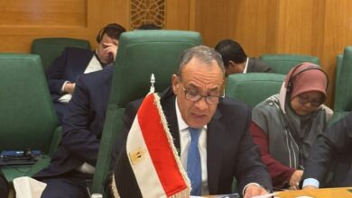 وزير الخارجية يشدد على موقف مصر الثابت الداعم لوحدة الجمهورية اليمنية وسيادتها وسلامة أراضيها