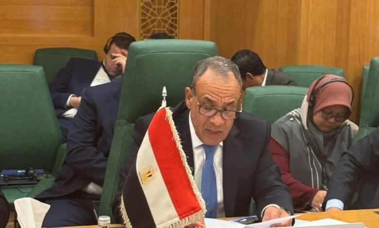 وزير الخارجية يشدد على موقف مصر الثابت الداعم لوحدة الجمهورية اليمنية وسيادتها وسلامة أراضيها