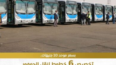 معرض القاهرة الدولي للكتاب إستعدادات جاريه للدورة السابعة والخمسين