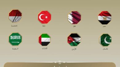 وزراء خارجية مصر ودول عربية وإسلامية يرحبون بدعوة ترامب لقادة دولهم للإنضمام لمجلس السلام