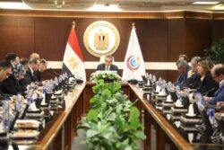  وزير الصحة يتابع مع وفد تركي تنفيذ «مدينة العاصمة الطبية».